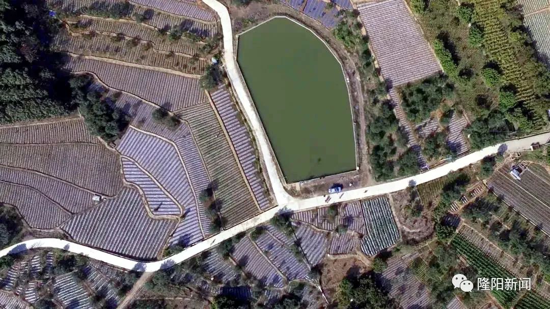 家乡美正背面分解,家乡美农业生态园