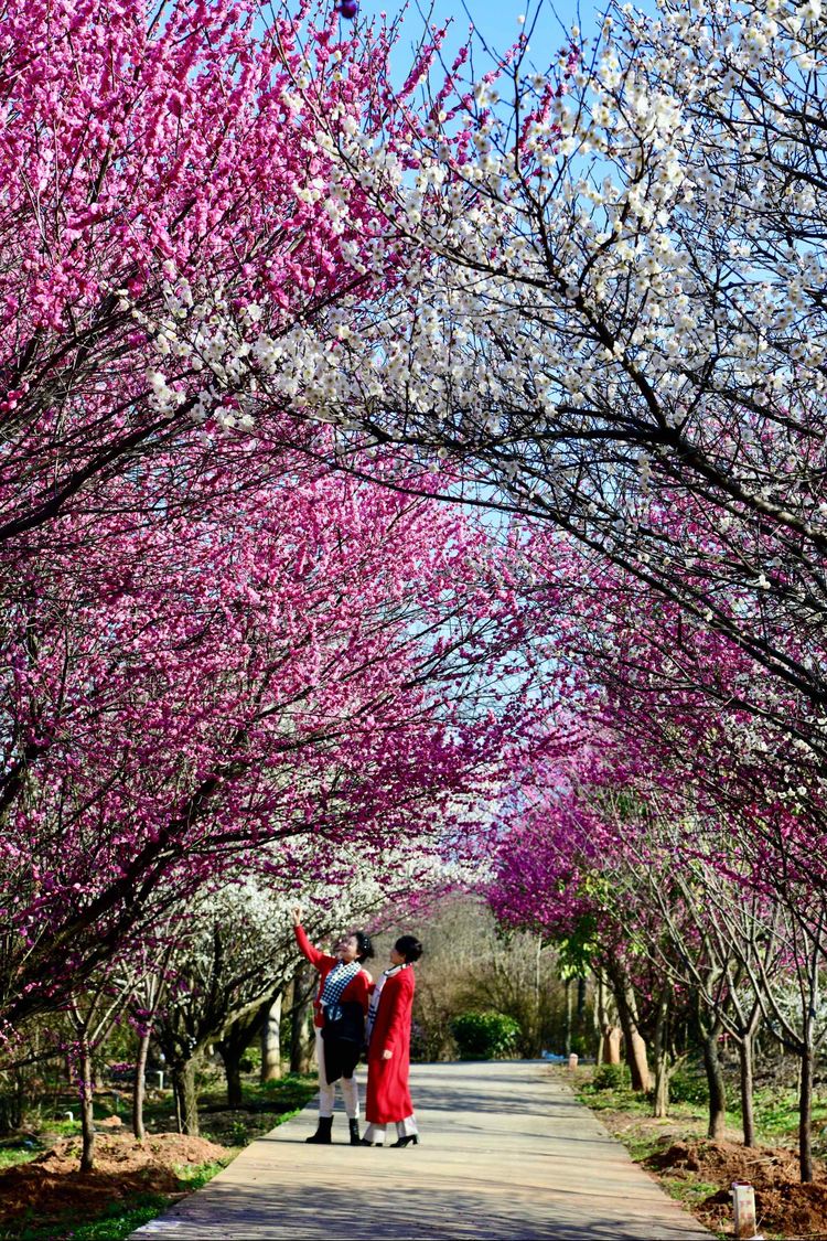 傅家边野营,走进金溪傅家村