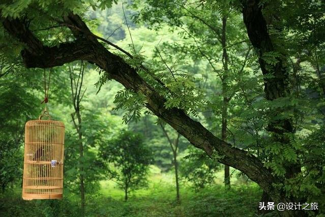 全球38家安缦酒店在哪里,全球35家安缦住宿本身是一种修行