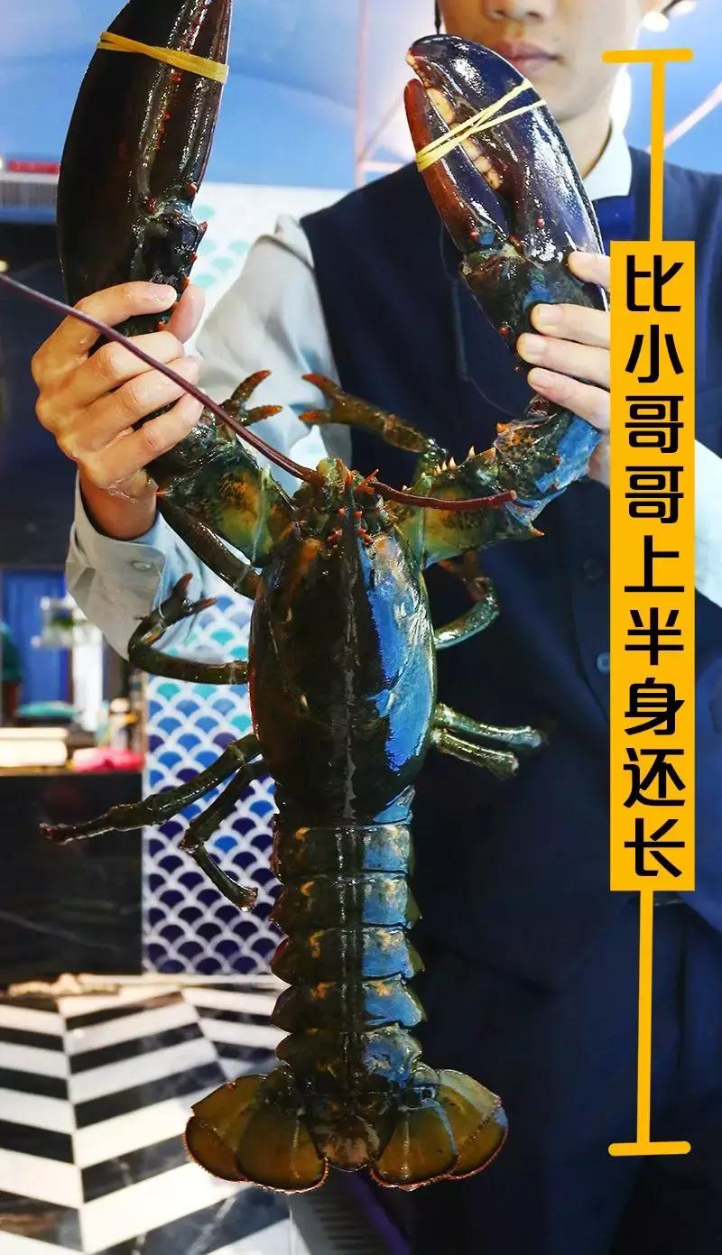 厦门90海里蒸汽海鲜自助,厦门岛内蒸汽海鲜自助