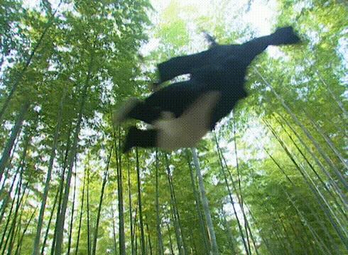 16年前老剧《天下第一》:豪华阵容再难见,表情包火到今天(下)