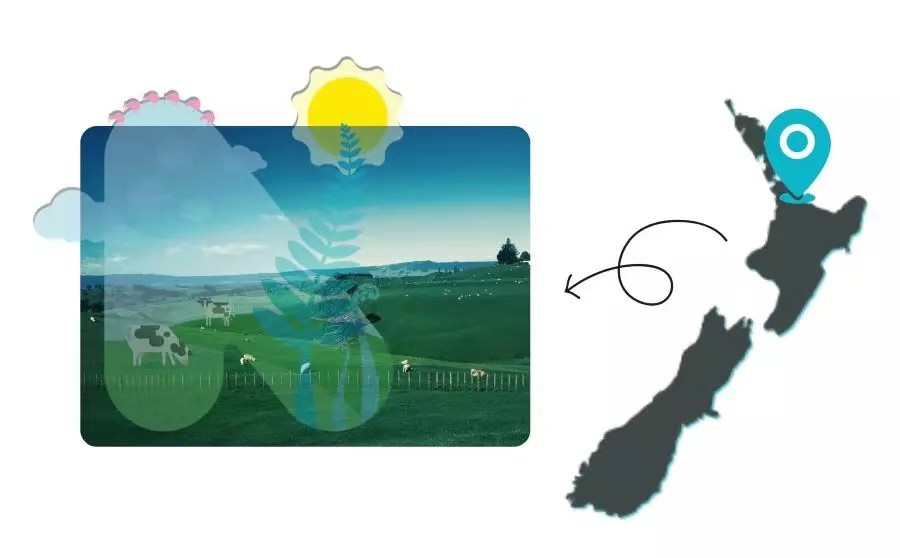 新西兰宝宝营养品哪种好,新西兰新生儿营养品牌