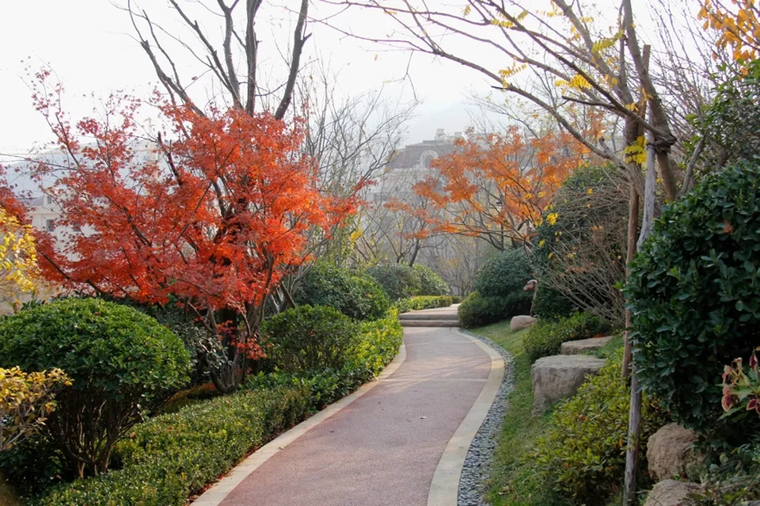 住宅区景观植物配置,居住区景观设计要点和方法有哪些
