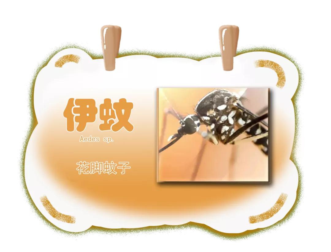 同样是被咬，为啥你的包又痒又大？