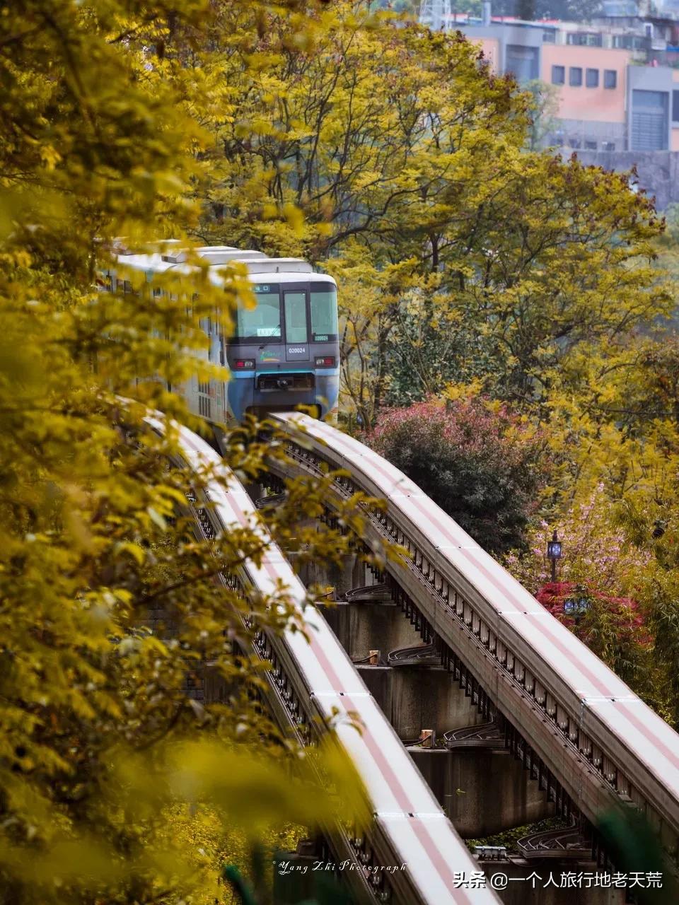 世界上最美的80个地方你去过几个,你知道世界最美的地方在哪里吗