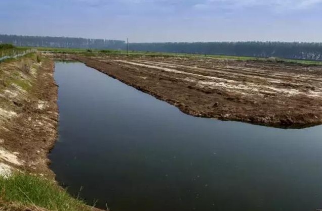 小龙虾脱壳要什么条件养,小龙虾蜕壳了怎么办