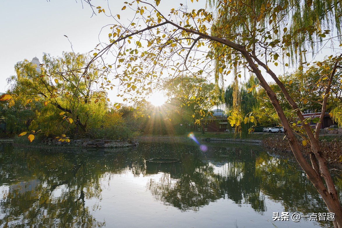 松下16-35f4,松下16-35f4和20-60镜头对比