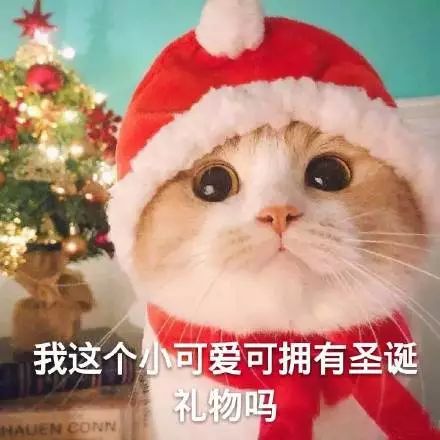 红帽子白胡子的老人,白胡子红帽子老人