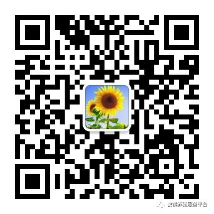 鸽子蛋一颗值多少钱,一枚鸽子蛋能够卖出多少价钱