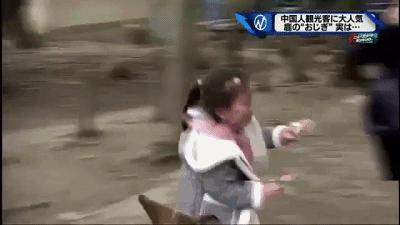 春游赏樱花日本,日本京都奈良赏樱