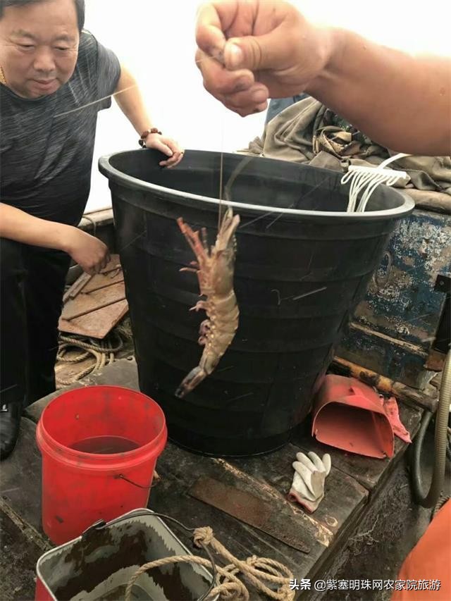 唐山月坨岛009号别墅农家院（原乐亭三岛幸福农家院）享休闲时光