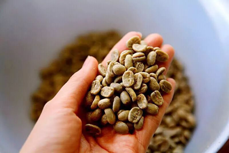 肯尼亚咖啡豆产区,世界四大产区顶级阿拉比卡咖啡豆