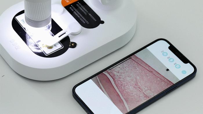 暑假孩子玩手机不如打篮球吧,儿童显微镜放大蚂蚁120倍