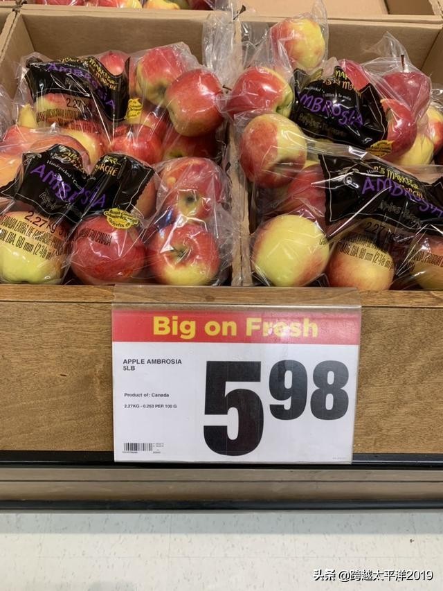 加拿大多伦多costco购物必买 (加拿大必买超市)