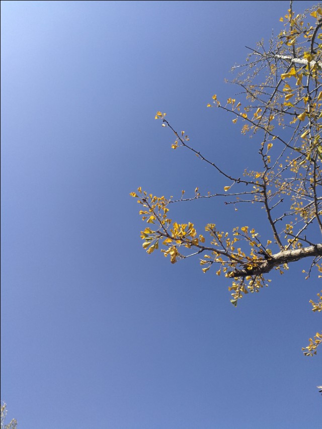 农村老物件7080的乡村记忆,乡村记忆老物件图片