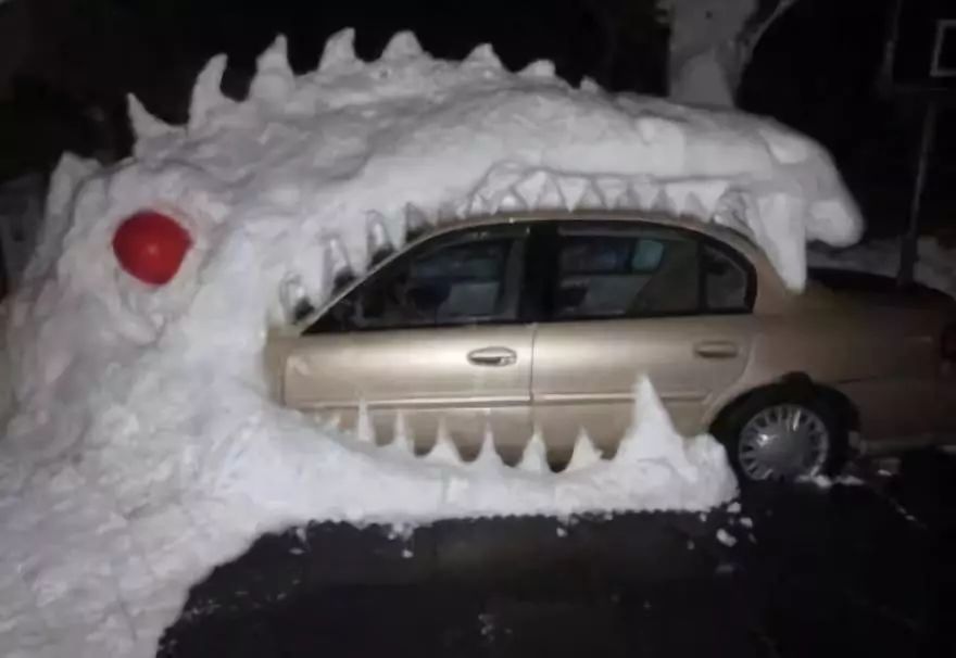 公园回应大妈路边卖雪,大妈卖雪5元一盆