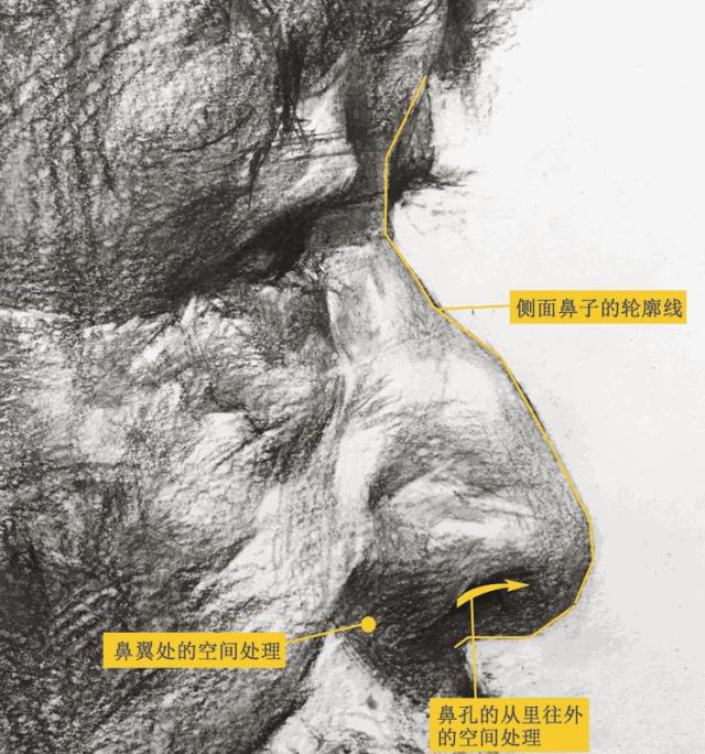 优质素描,优质素描静物