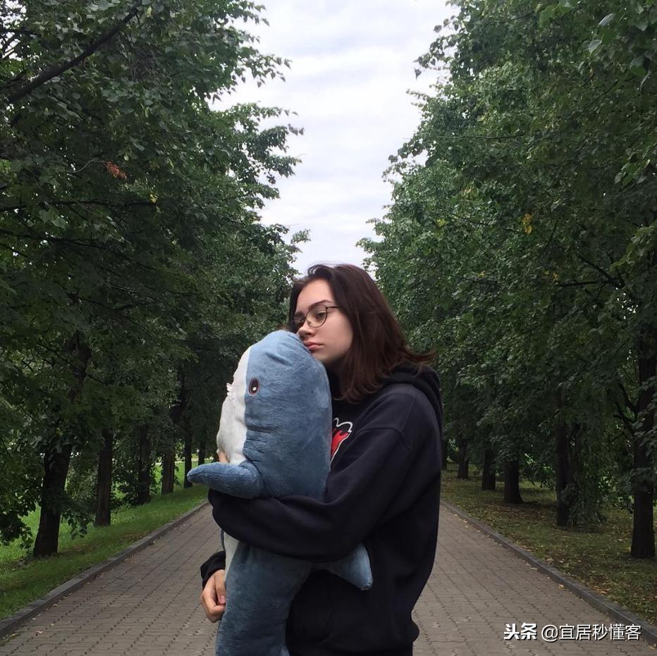 宜家小鲨鱼,为什么宜家鲨鱼火了