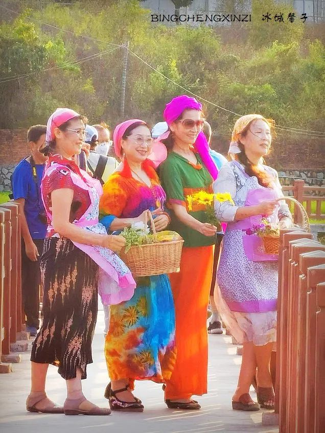 做把“村姑”,走进海南灯火灿烂的火龙果园