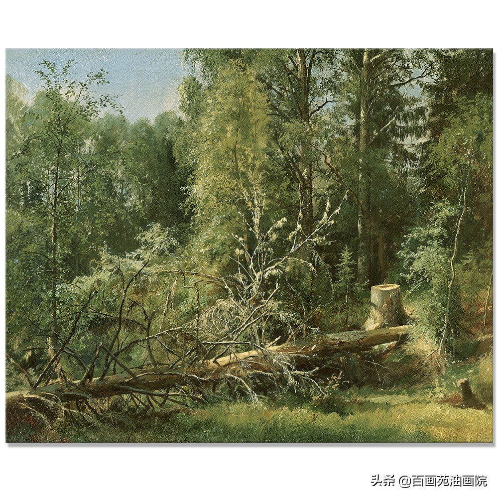 简单油画初学者画树,油画画树叶丛的技巧