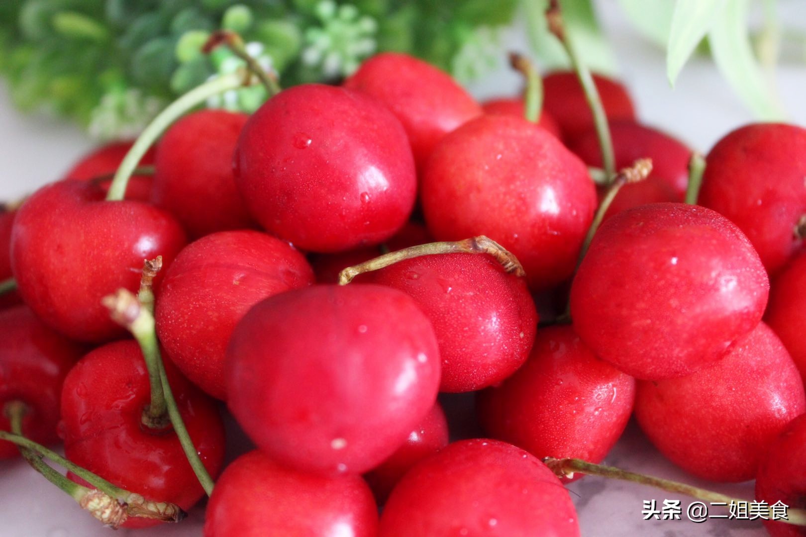 樱桃虫子怎么洗出来,樱桃里的虫子百分之多少能清理掉