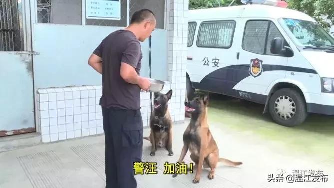 成都世警会比赛时间,世警会成都2022