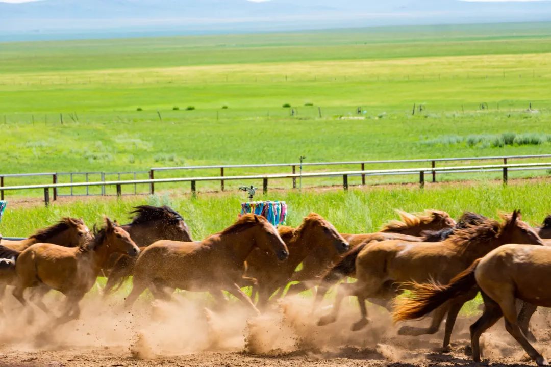 自驾三天呼伦贝尔大草原,自驾去呼伦贝尔草原七日游的攻略