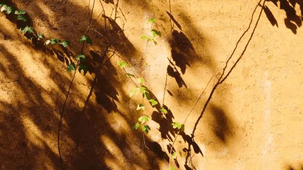 教你一招告别斑点,20年的斑点终于找到解决的办法了