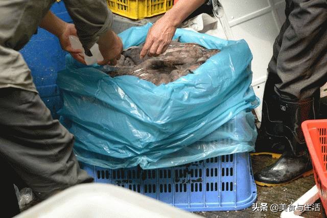 中国十大顶级大型海鲜市场在哪里,全国各大海鲜市场现状