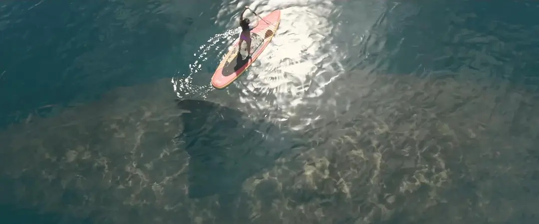 真蛇大战真实视频,拍人蛇大战用的是真蛇吗