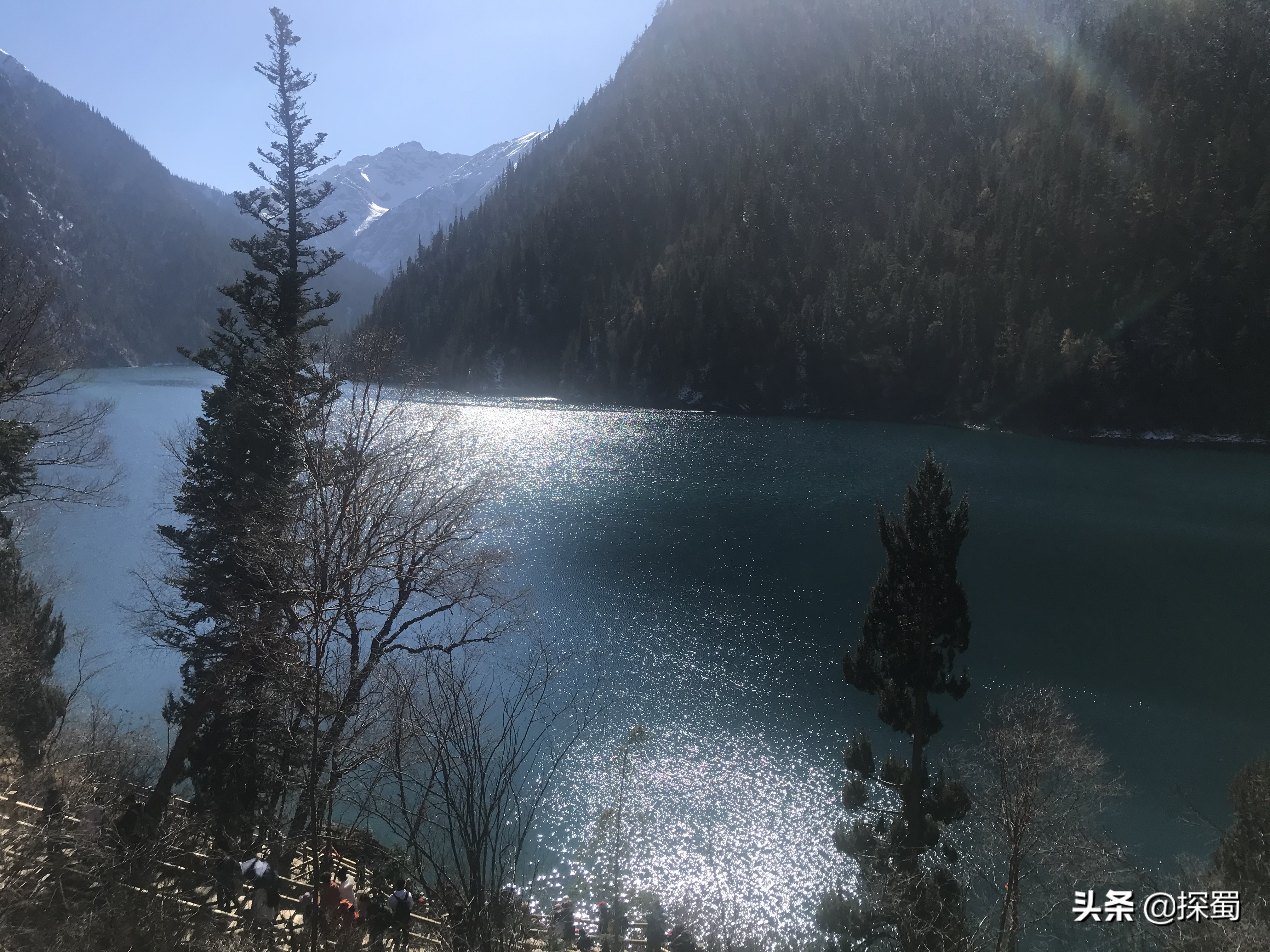 去九寨沟旅游酒店推荐哪家,九寨值得住的酒店