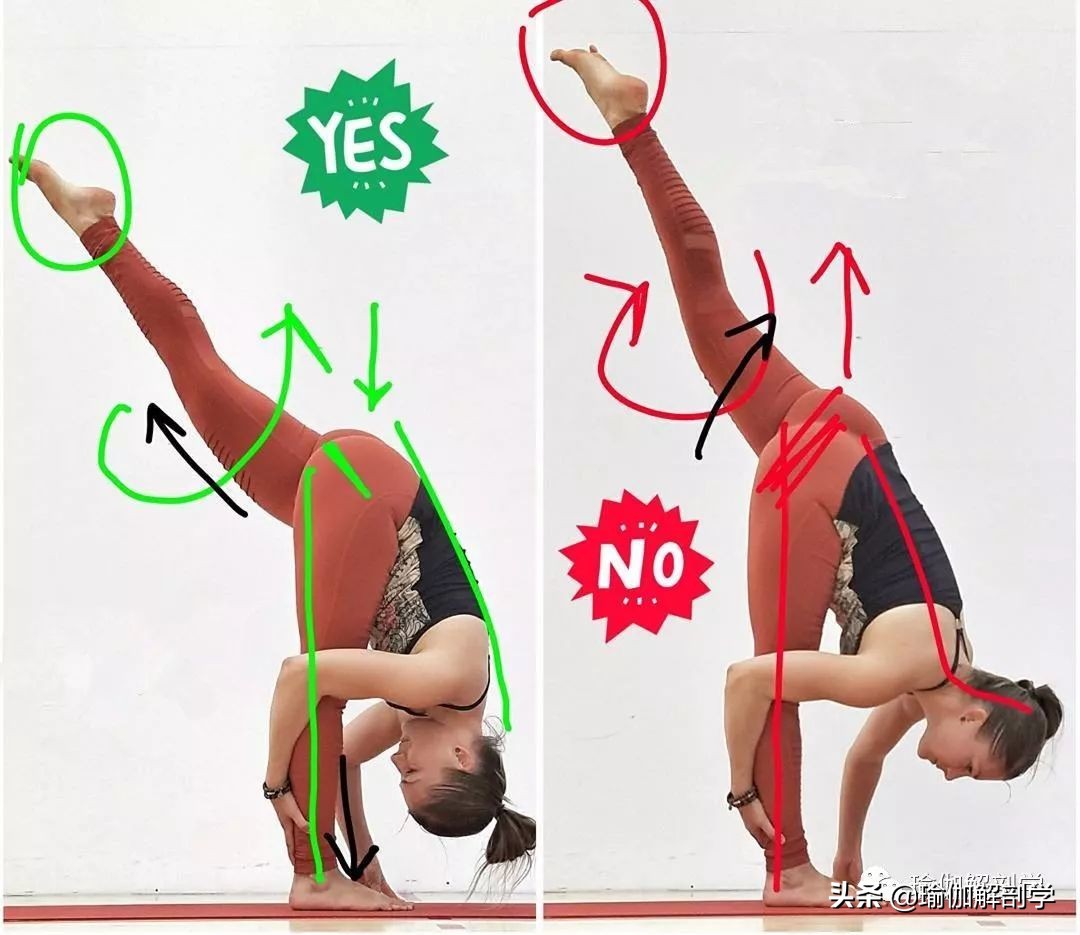 10个最新瑜伽体式正误对比图,瑜伽最容易错的正误对比图