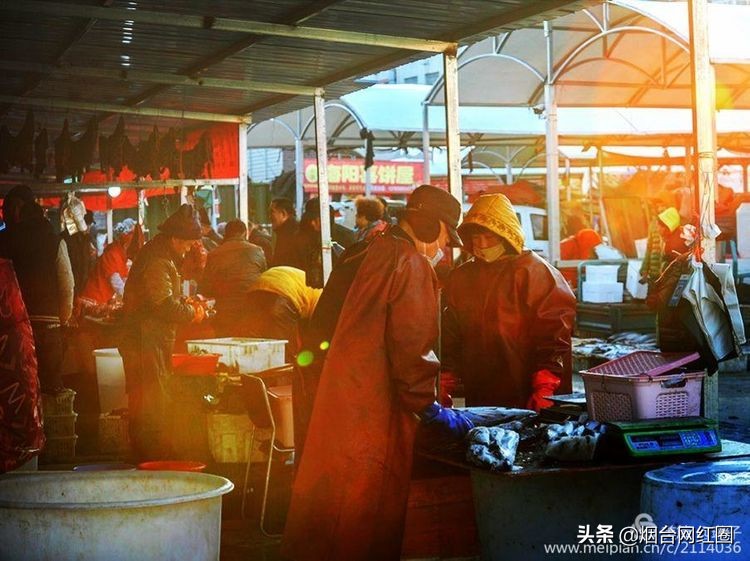 烟台莱阳海鲜早市,烟台老红利市场早市