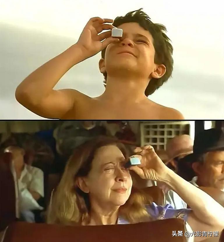 亲情和良知,亲情的根本是良知和利益