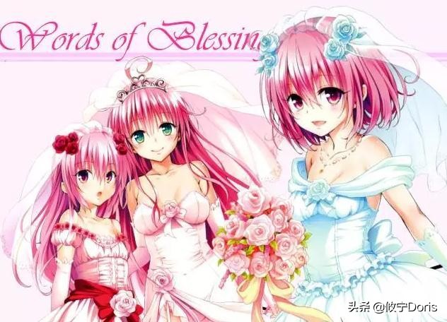 日漫中的王子公主,日漫中的骑士守护公主