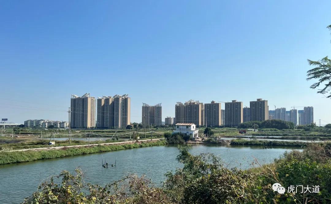 东莞新增过江通道规划,东莞过江通道规划图