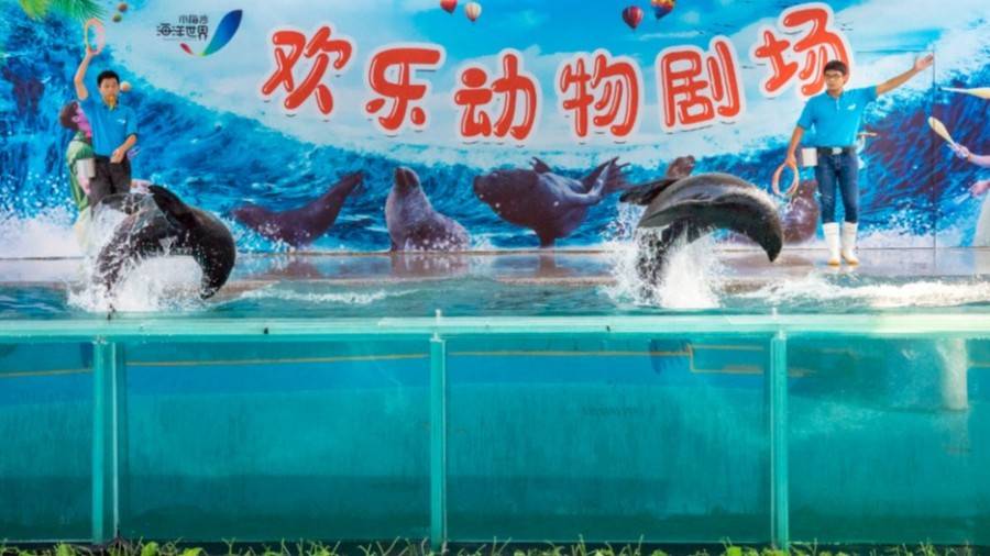 深圳小梅沙海洋世界团购票多少钱,小梅沙海洋世界团购深圳