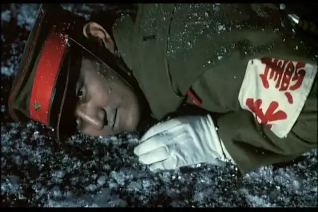 鏃犱汉鐭ユ檽鏃ユ湰鐪熷疄浜嬩欢缁撳眬,鏃ユ湰涓嶈