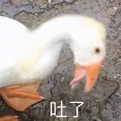 日看5000张图，打码师的日常究竟有多不堪？