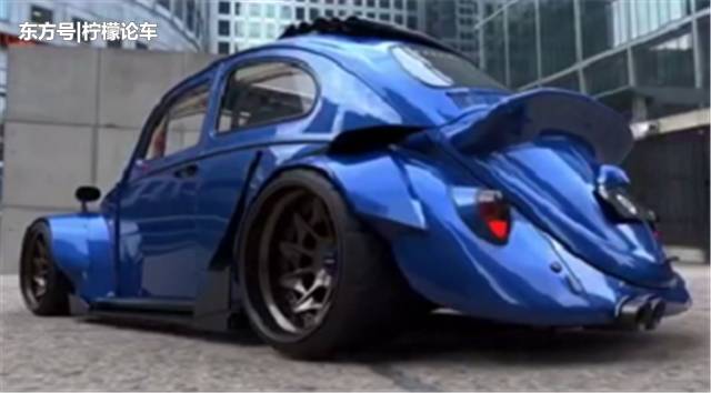 战斗款甲壳虫,甲壳虫战斗甲壳虫