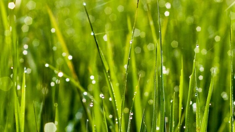 鬼魂复仇电影,鬼魂回来复仇