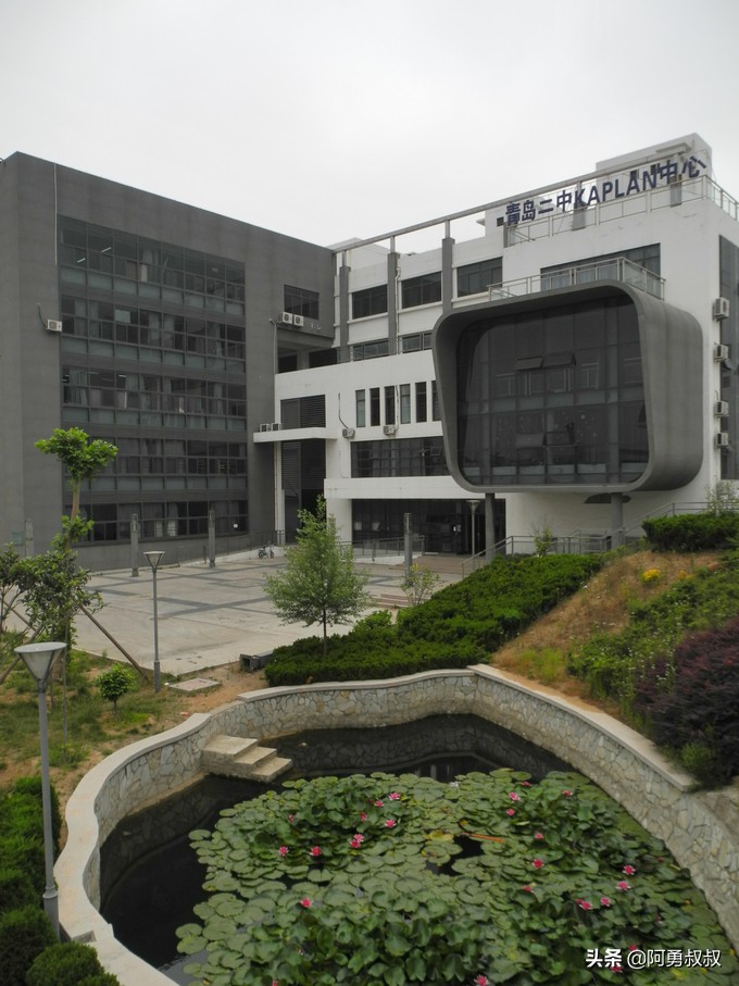 青岛二中2019高考成绩,经验分享大学专业