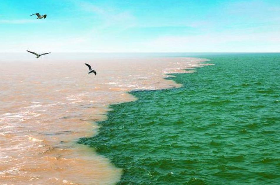 「原创诗词」管恩锋|莫言千载苍颜老也有风姿也有情（诗词21首）