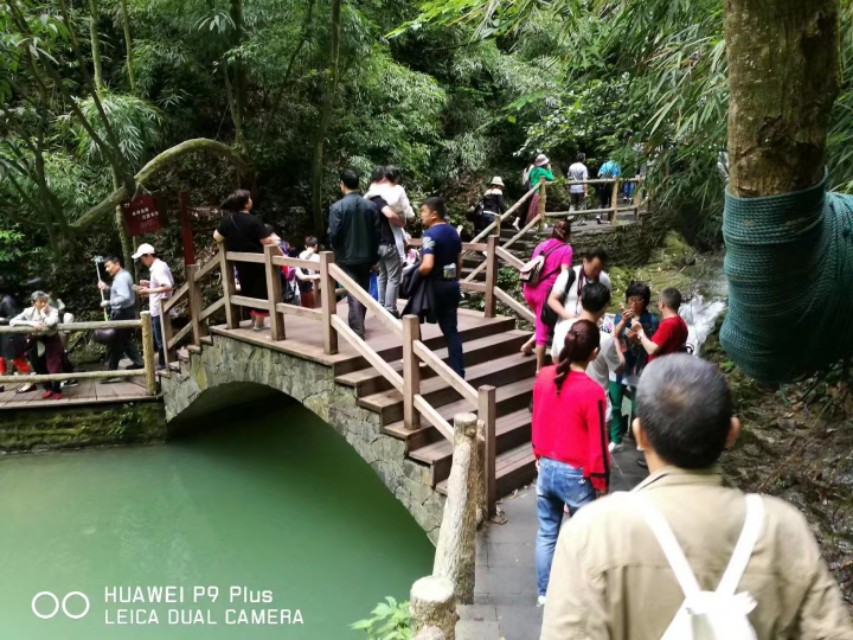 重庆黑山谷避暑适合吗,重庆避暑7天黑山谷
