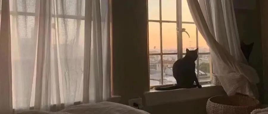 当普信男出现时,我的笑容又僵硬了几分