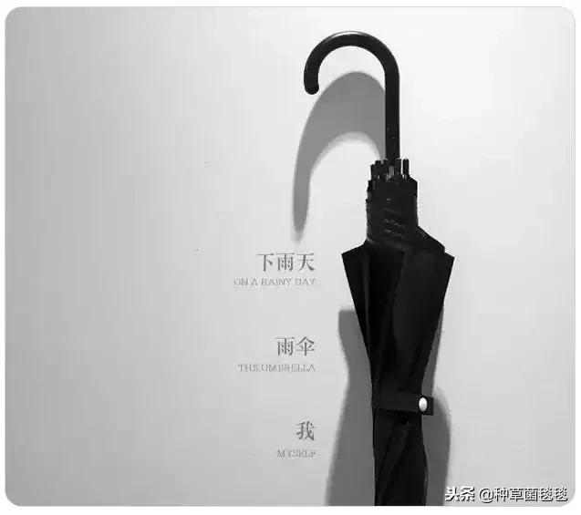 女人办公室必备物品,女生办公必备物品