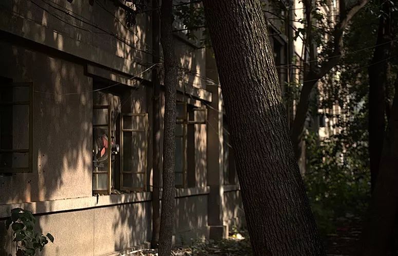 攀成钢变迁记实：曾经无缝难忘怀两鬓斑白忆当年