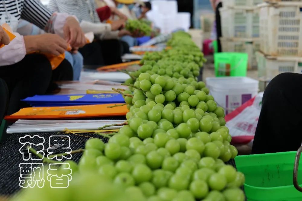 为什么大家都喜欢蹦迪,为什么喜欢跳坑