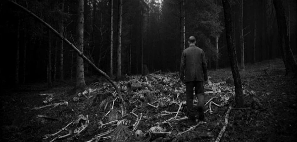 二战德国纳粹残暴影片,二战德国战争片全集纳粹的疯狂