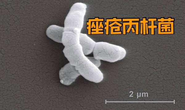 肌肤活力唤醒液和兰蔻小黑瓶,兰蔻小黑瓶肌底精华正确使用方法